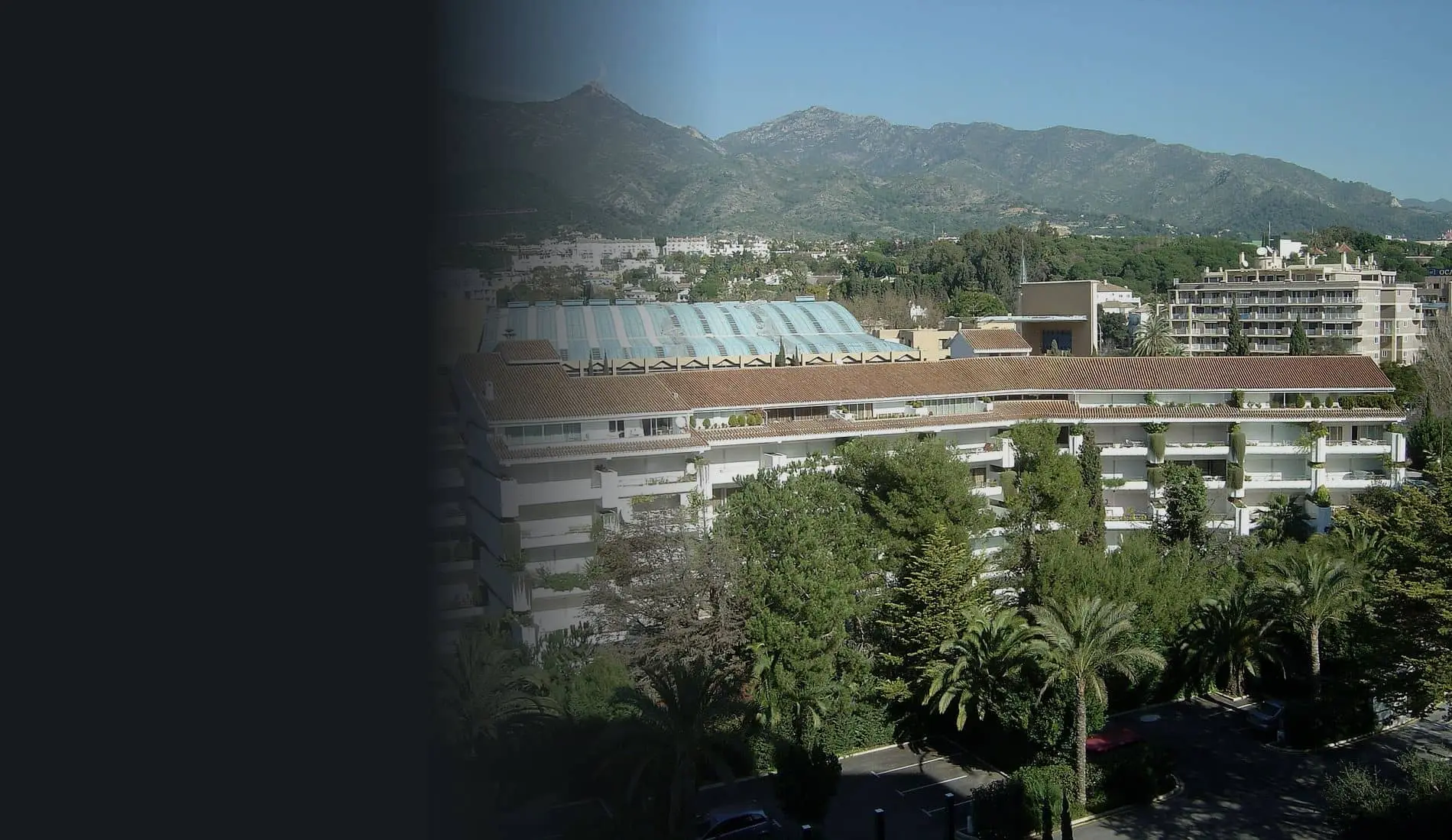 Urbanización de Marbella entre palmeras, con la sierra al fondo