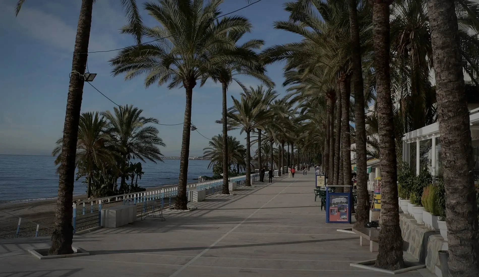El paseo marítimo de Marbella entre palmeras